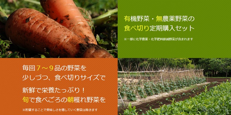 ���_���؃~���[����